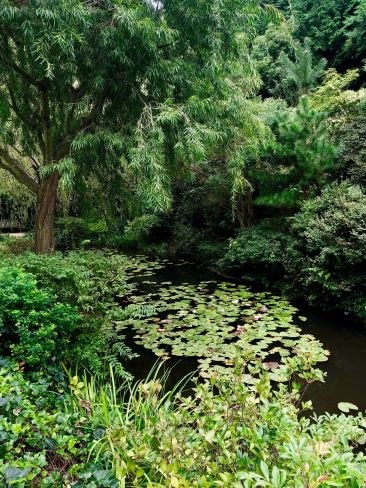 Jardin Japonais du Chichū Museum - Version naturelle des Nimpheas de Monet