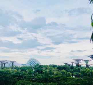 Garden By The Bay - Singapour