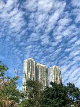 Vue sur les gratte-ciels - Parc de Kowloon - Hong-Kong
